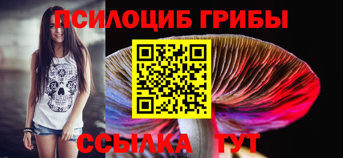Реутов  Псилоцибиновые грибы Psilocybe  Вход с VPN 