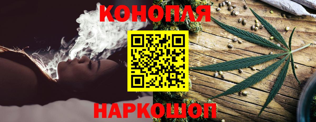 Реутов  Канабис сатива  Конопля тримм  Вход с VPN 